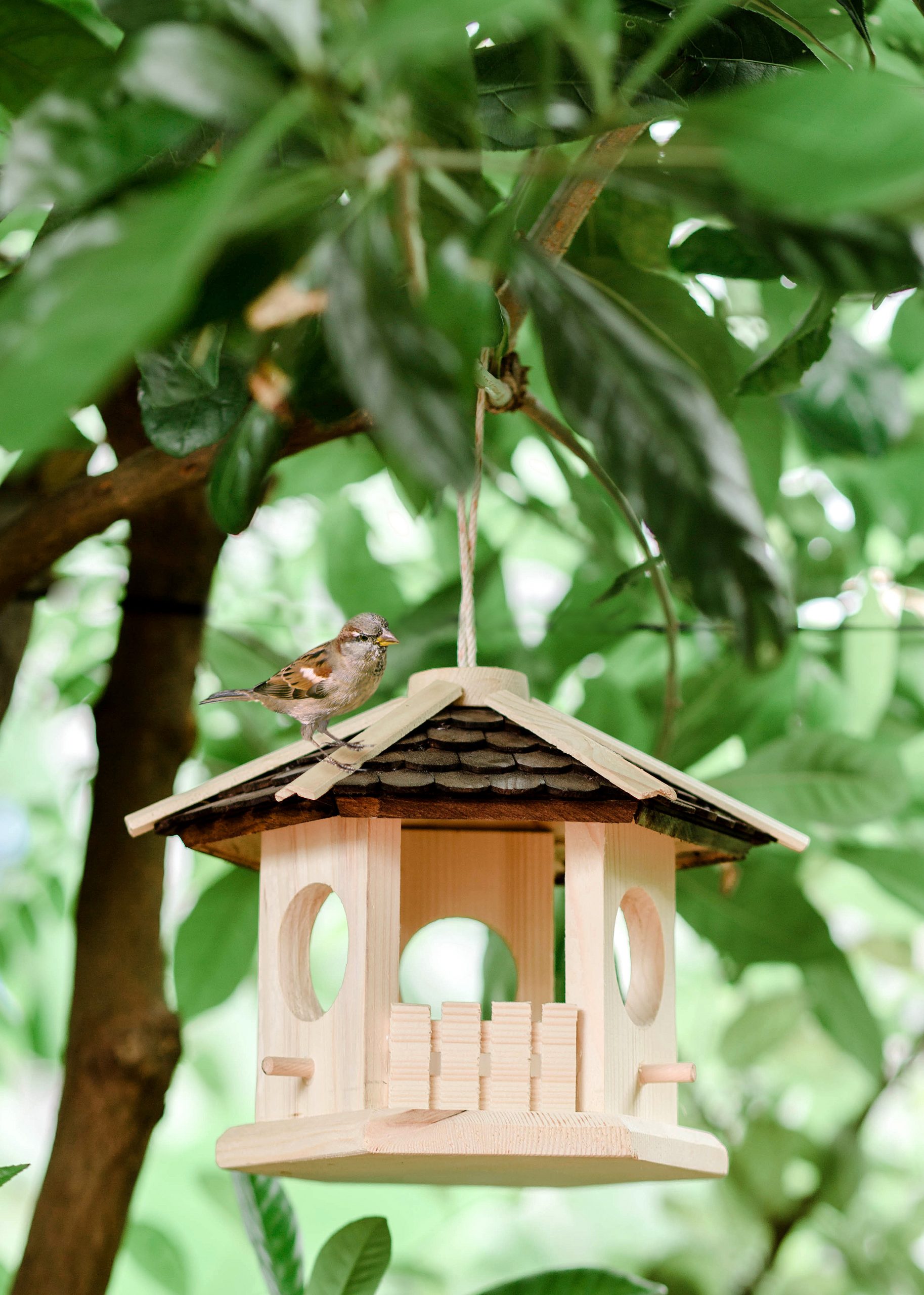 156A8701cp 156A8701cp