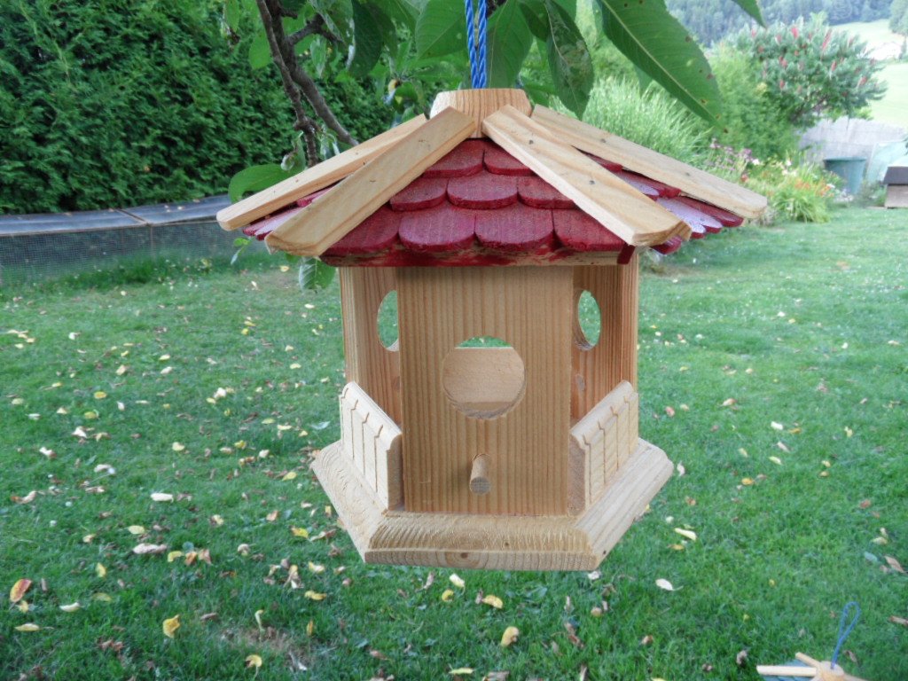 71fo+aisyzL._SL1024_ 71fo+aisyzL._SL1024_